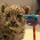 Illustration for article titled ZOMG CUTE BABY ANIMAL ROUND-UP!!!